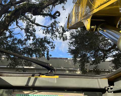 crane services rigging solutions
